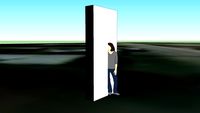Monolith