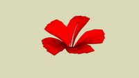 AMAPOLA OR FLOR DE MAGA
