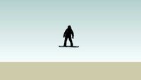 Chiccogen on snowboard