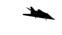 F-117 Stealth Fighter