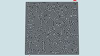 Maze
