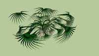 Plante exotique