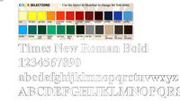 New_Times_Roman_Bold