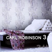 CARL ROBINSON EDITION 3