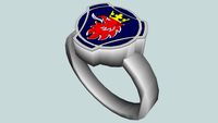 Heinrich Scania Ring