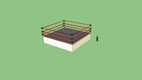 Ring Lucha libre (W.W.E.)