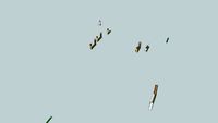 WIND