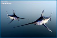 Swordfish PBR