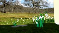 Vorfrühling