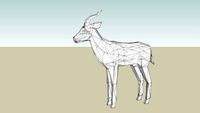 Thomson's Gazelle (adult male)