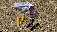 Bond Arms Cowboy Defender 45Lc/410 derringer by leonmetalowiec