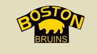 The 1924-1925 Boston Bruins Logo