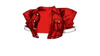 Aerith's coat