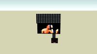 John Cena Entrance