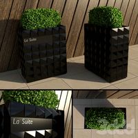 Hotel & Spa Bush
