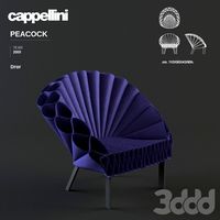 Cappellini Peacock armchair - Dror - 2009