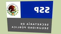 SECRETARIA DE SEGURIDAD PUBLICA
