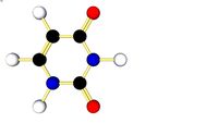 Uracil
