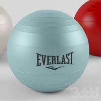 Pilates Ball