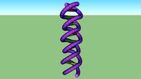 deoxyribonucleic acid