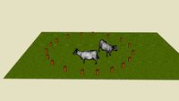 Pen with 2 cows