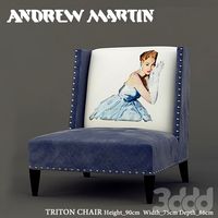 ANDREW MARTIN