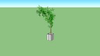 Bamboo Mossô