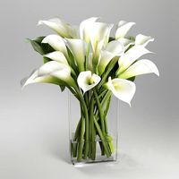 Callas