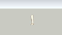 Human leg