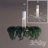 TREDICI - design FLORA