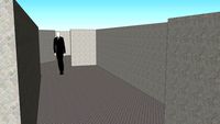 Slender maze