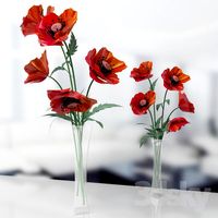 poppies