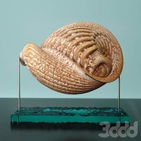 «Martian Seashell»