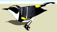 Yellow-rumped Warbler