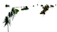 Trees of Admiralty Area