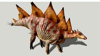 Stegosaurus ungulatus