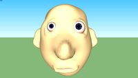 human head