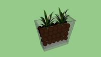 Vaso com Planta