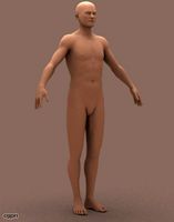 Male Body 013d model