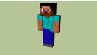 Minecraft Character Steve