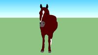 Lightning the horse