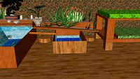 Aquaponic's Design