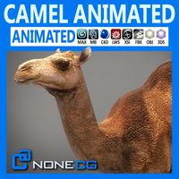Animated Camel3d model