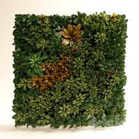 Fitostena, fitomodul of tropical plants