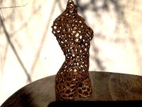 Fishnet Woman by Japalura