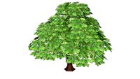 low poly tree Maple (198 KB)