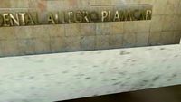 OCCIDENTAL ALLEGRO PLAYCAR