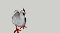 StarrrubberChicken-LOL