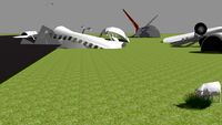 Cow Crashes a Qantas 747