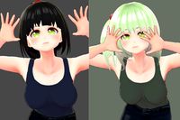 Anime Character : Janna And Sayaka (Underwear Package)